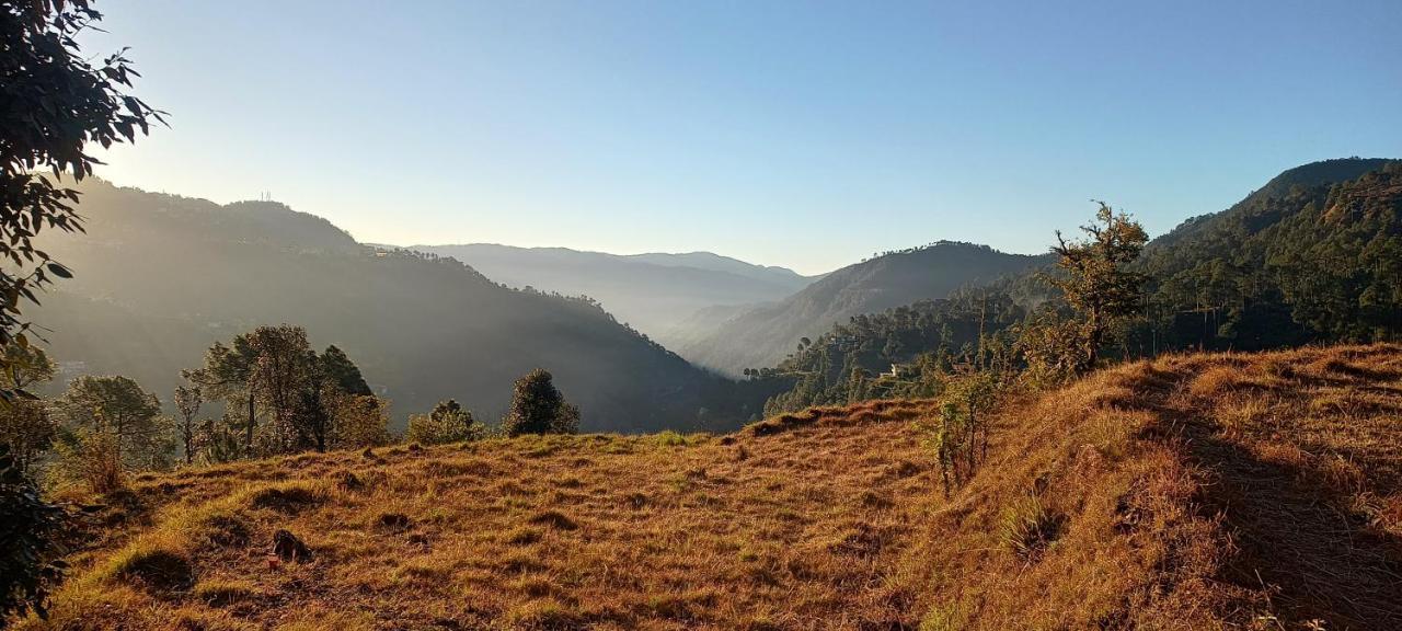 The City Escape Farmstay Shimla Eksteriør billede